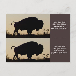 Cartão Postal Marcadores de Silhouette Buffalo