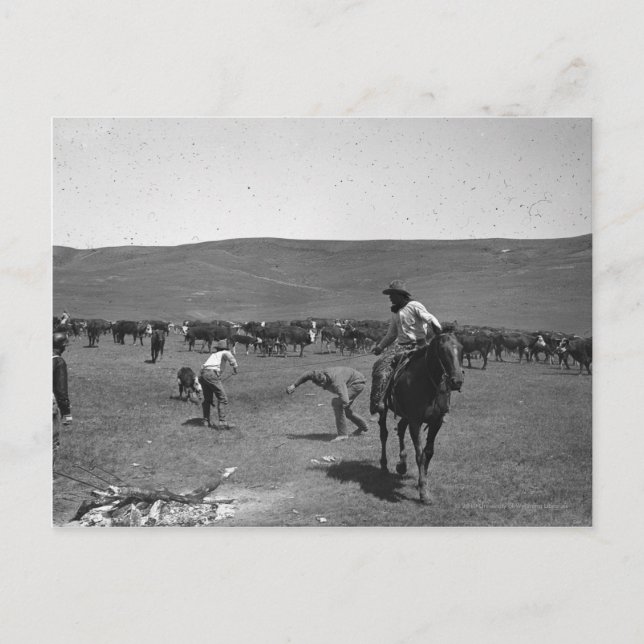 Cartão Postal Marcas de Cowboys (Frente)