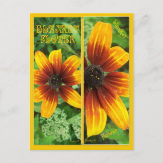 CARTÃO POSTAL MARCAS DE FLORES EM BRANCO