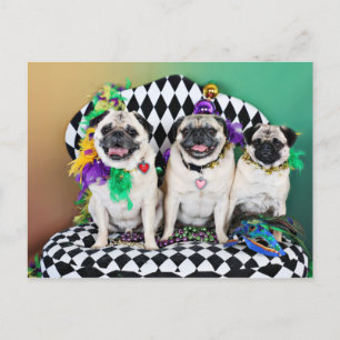 Cartão Postal Mardi Gras 2015 - Hambone Coco Olivia -