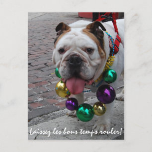 Cartão Postal Mardi Gras Bulldog