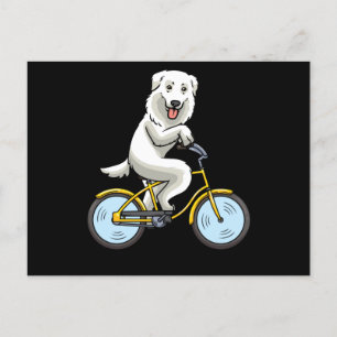 Cartão Postal Maremmano Abruzzese Sheepdog Dog Bicycle Cyclist