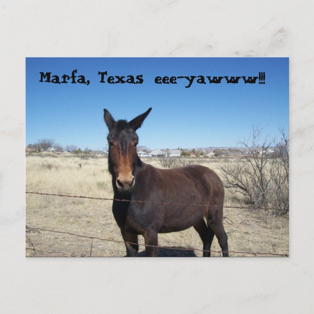 Cartão Postal Marfa, Texas, eee-yawww!! (Frente)
