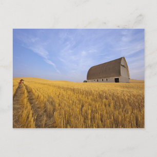 Cartão Postal Margaret Horton na Fotografia Palouse de 2009