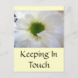 Cartão Postal Margarida Branca