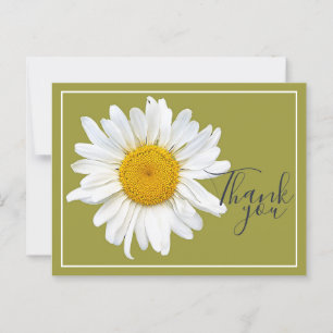 Cartão Postal Margarida Branca Centro Amarelo Fundo Verde Obriga