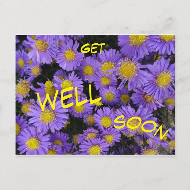 Cartão Postal Margarida de São Miguel Cust. Postais de Melhoras (Frente)