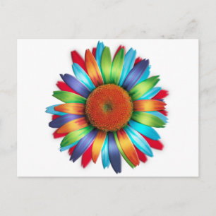 Cartão Postal Margarida Multicolor