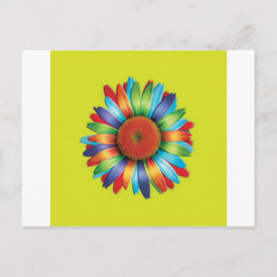 Cartão Postal Margarida Multicolor