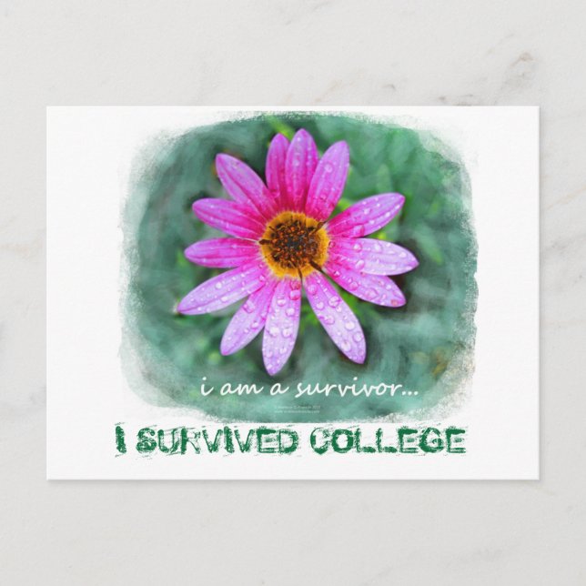 Cartão Postal Margarida Rosa Eu sou um Sobrevivente (Frente)