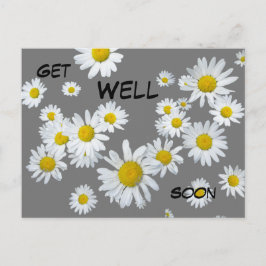 Cartão Postal Margaridas Brancas Cor Personalizada
