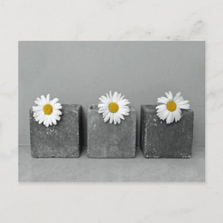 Cartão Postal Margeriten