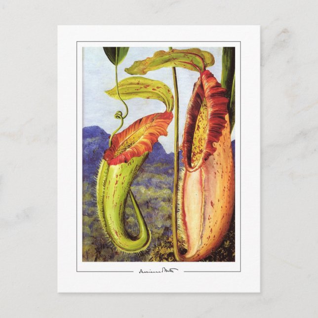 Cartão Postal Marianne North #1 - Cartão-postal de arte (Frente)