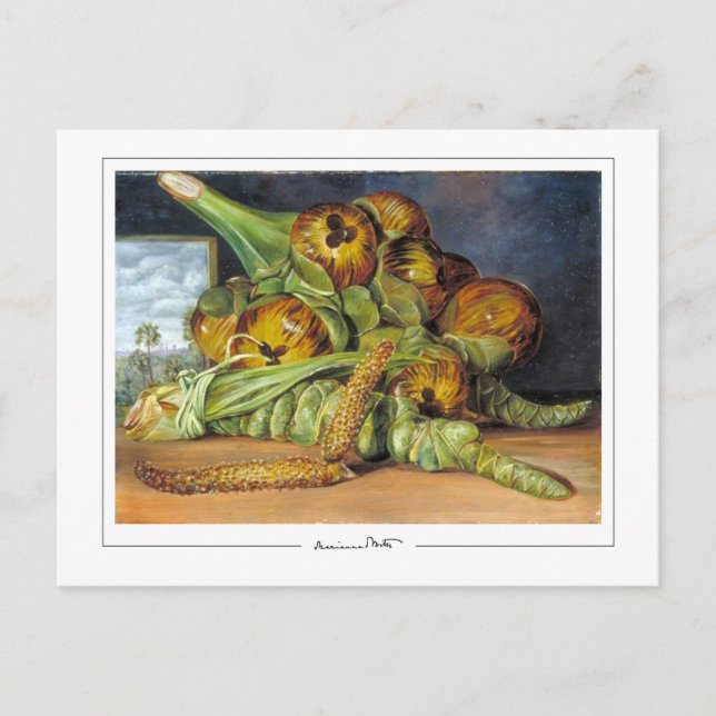 Cartão Postal Marianne North #52 - Cartão-postal de arte (Frente)