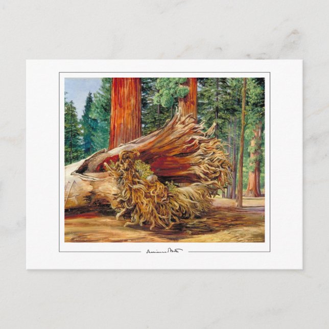 Cartão Postal Marianne North #7 - Cartão-postal de arte (Frente)