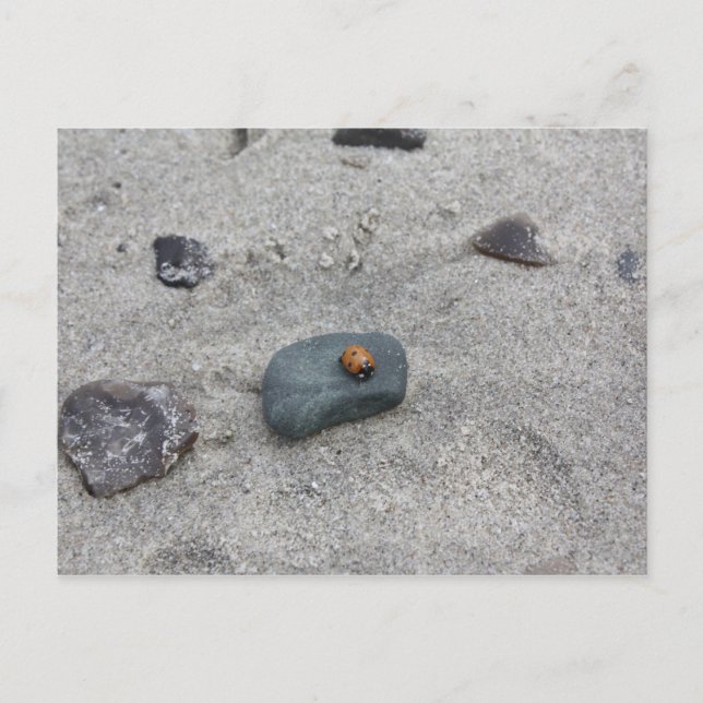 Cartão Postal Marienkäfer Strand (Frente)