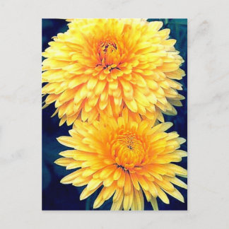 Cartão Postal Marigold Amarelo