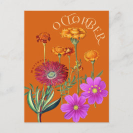 Cartão Postal Marigold Cosmos Orange, Flores do Mês de outubro