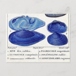 Cartão Postal marinheiros azuis vintage botânica, arte oceânica