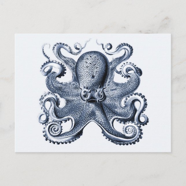 Cartão Postal Marinho Blue Octopus ilustrado por Ernst Haeckel (Frente)