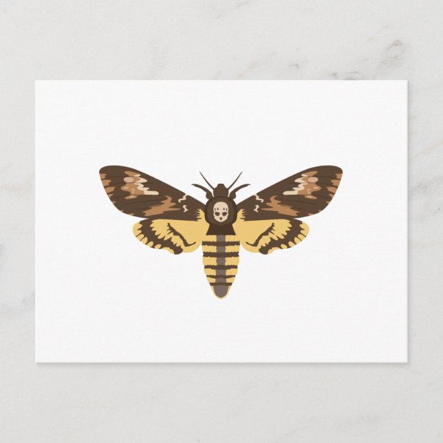 Cartão Postal Mariposa Caveira (Frente)