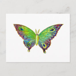 Cartão Postal Mariposa Colorida Vintage