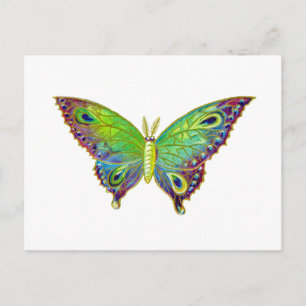Cartão Postal Mariposa Colorida Vintage