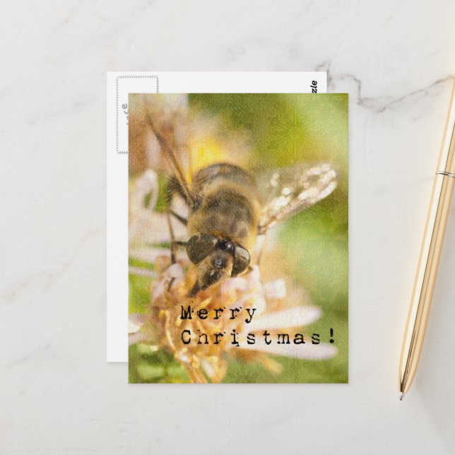 Cartão Postal Mariposa de Natal na Flor (Frente/Verso In Situ)