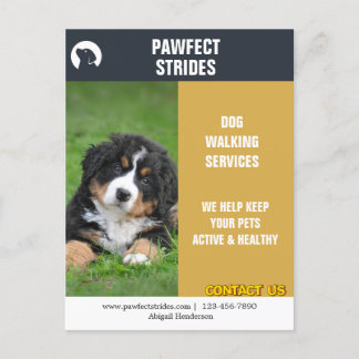Cartão Postal Marketing Comercial do Dog Walker