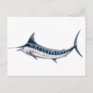 Cartão Postal Marlin azul-redbubble