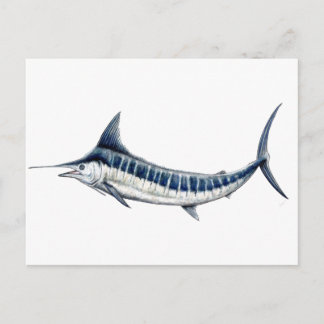 Cartão Postal Marlin azul-redbubble