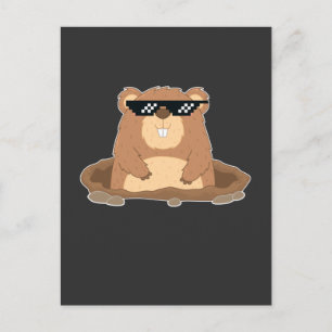 Cartão Postal Marmota engraçada com óculos de sol Humor