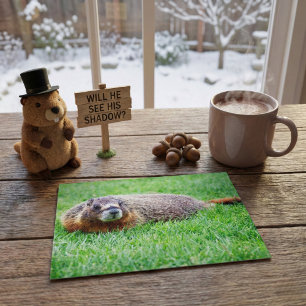 Cartão Postal Marmota Realista Fofa Espiando na Grama Verde