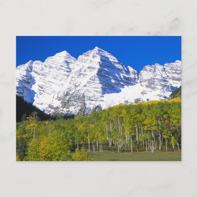 Cartão Postal Maroon Bells com floresta de aspen do outono. (Frente)