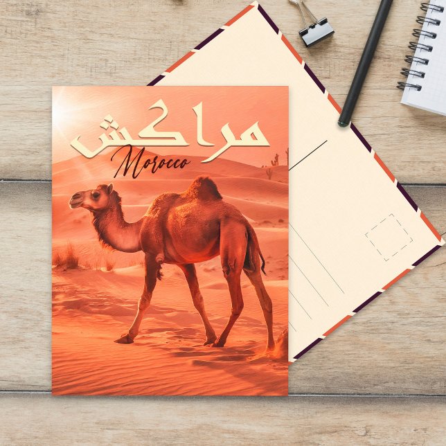 Cartão Postal Marrakech Marrocos Vintage camel Viagem Souvenirs (Criador carregado)