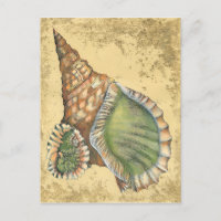 Marrom e Seashell Verde