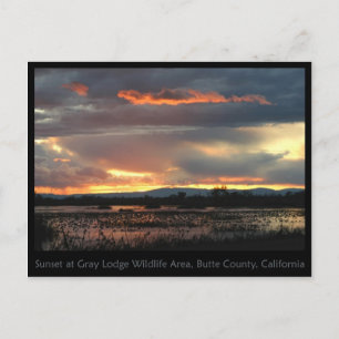 Cartão postal Marsh Sunset nº 2