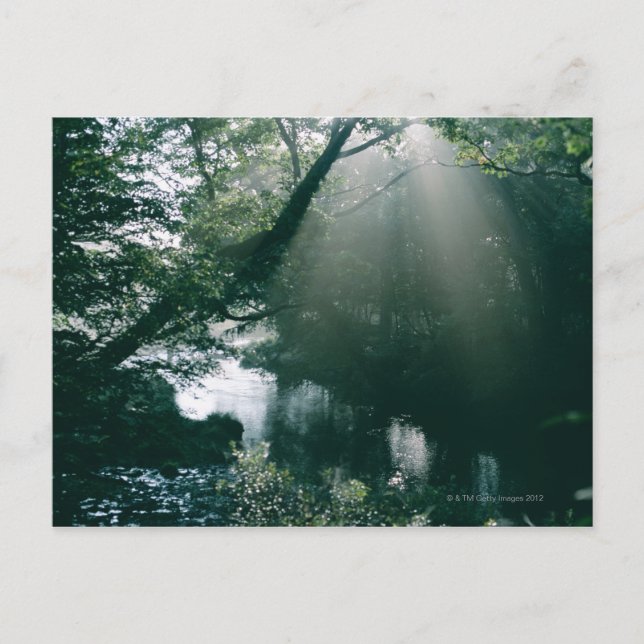 Cartão Postal Marshland 3 (Frente)