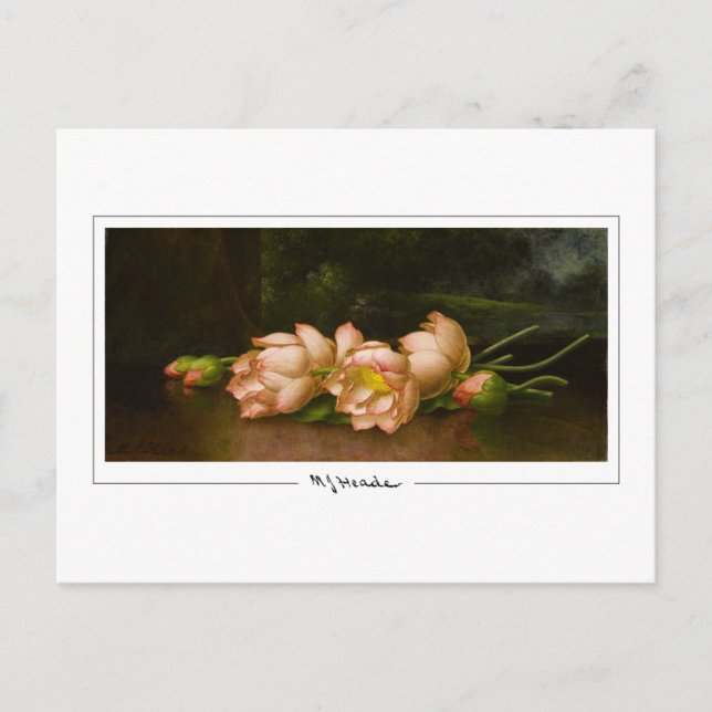 Cartão Postal Martin Johnson Heade #34 - Cartão-postal de arte (Frente)