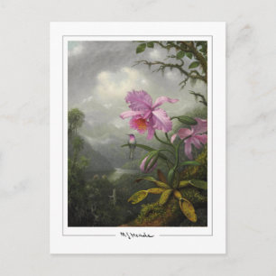 Cartão Postal Martin Johnson Heade #4 - Cartão-postal de arte