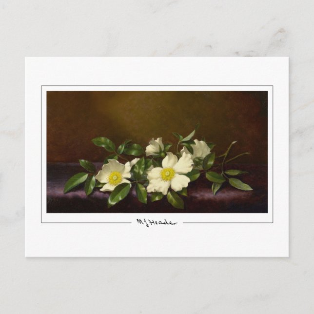 Cartão Postal Martin Johnson Heade #52 - Cartão-postal de arte (Frente)