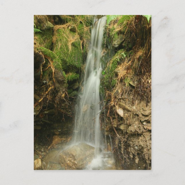 Cartão Postal Martin's Brook Road (Frente)