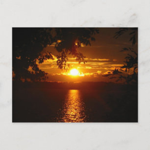 Cartão Postal Maryland 2005