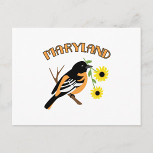 Cartão Postal Maryland Oriole