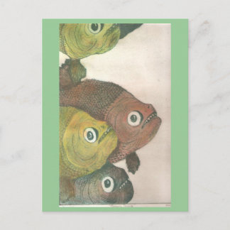 Cartão Postal mas piranhas