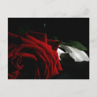 Cartão Postal Mascarada