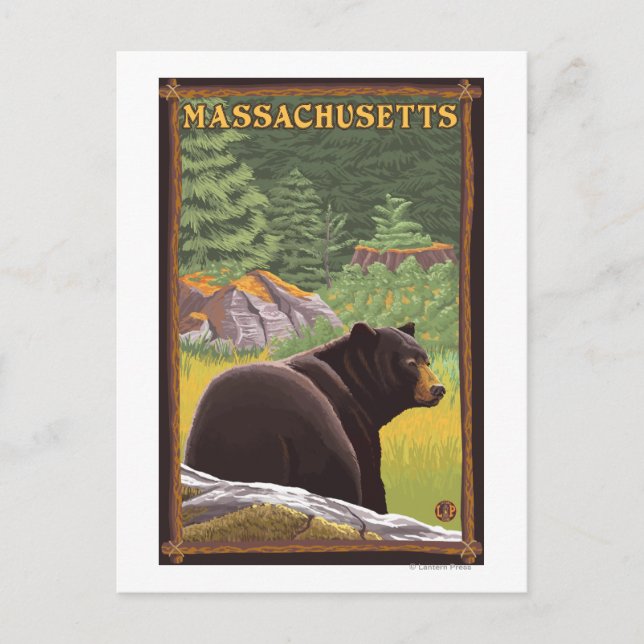 Cartão Postal Massachusetts Black Bear em Floresta (Frente)