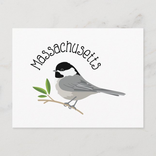 Cartão Postal Massachusetts Chickadee (Frente)