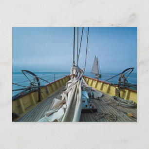 Cartão Postal Massachusetts, Gloucester, Festival Schooner 3