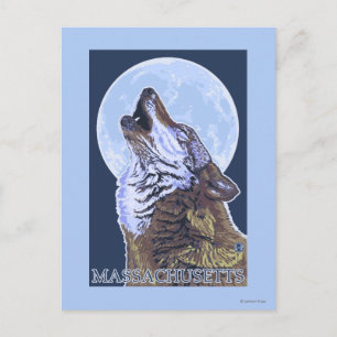 Cartão Postal Massachusetts Howling Wolf